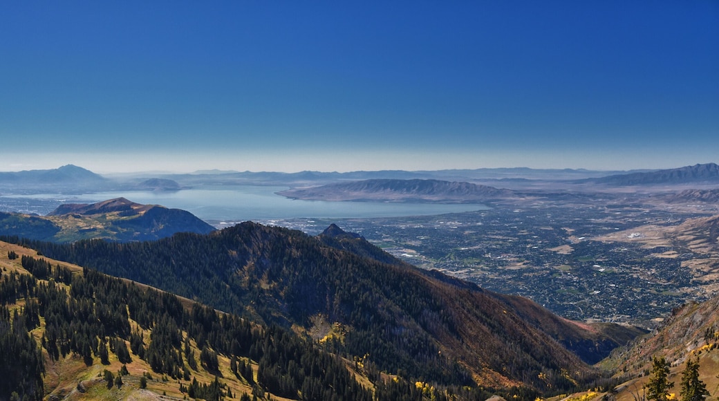 Brigham Young University