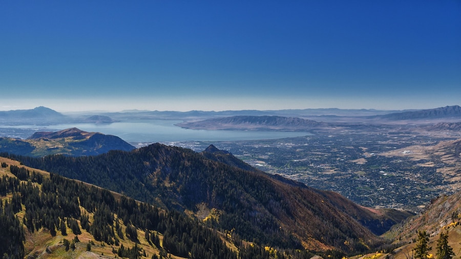 Brigham Young University