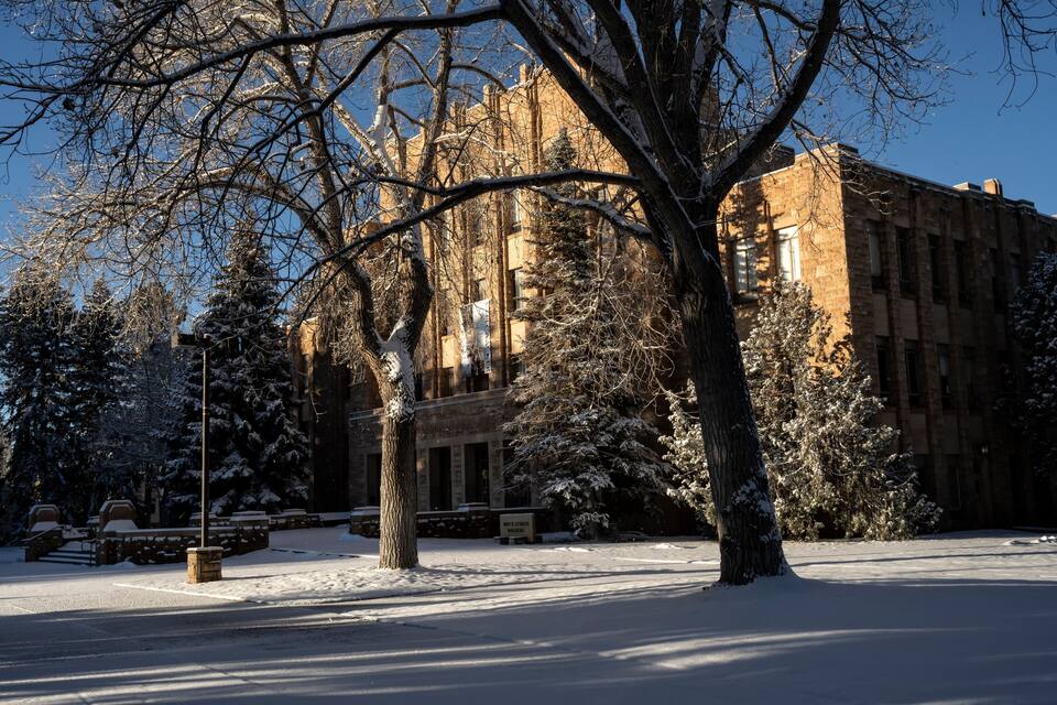 Un edificio cubierto de nieve, árboles desnudos y un cielo azul despejado.