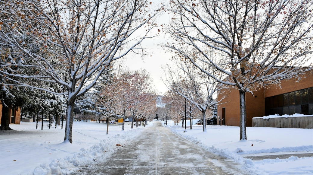 Snow College