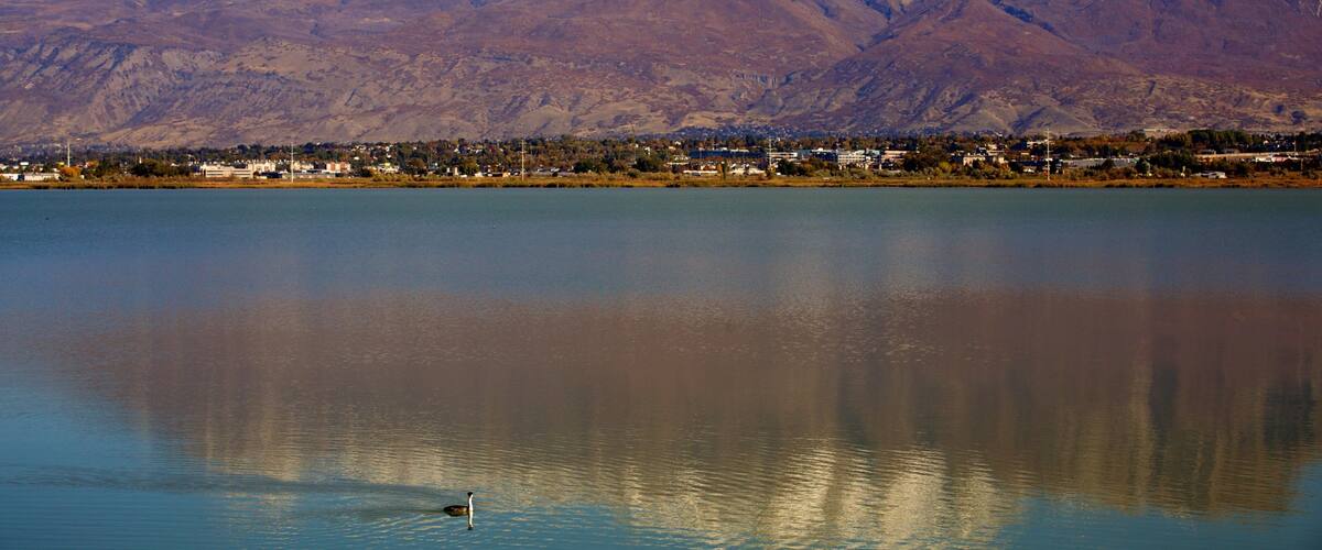 Utah Lake State Park showing a park, a lake or waterhole and mountains