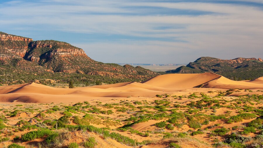Taman Negeri Coral Pink Sand Dunes