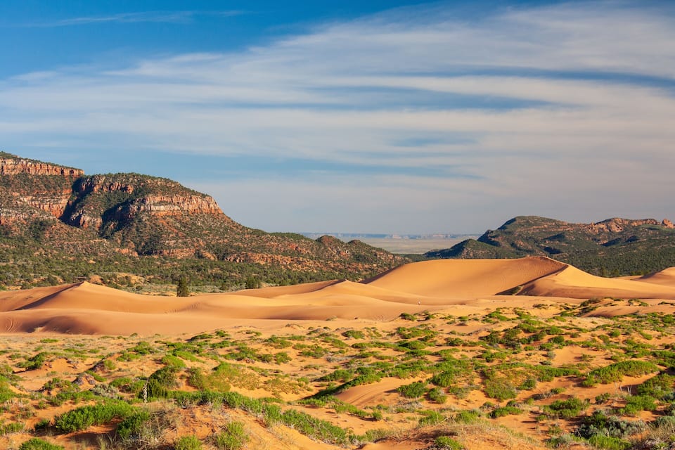Dunas de areia, arbustos verdes e montanhas rochosas sob um céu claro.