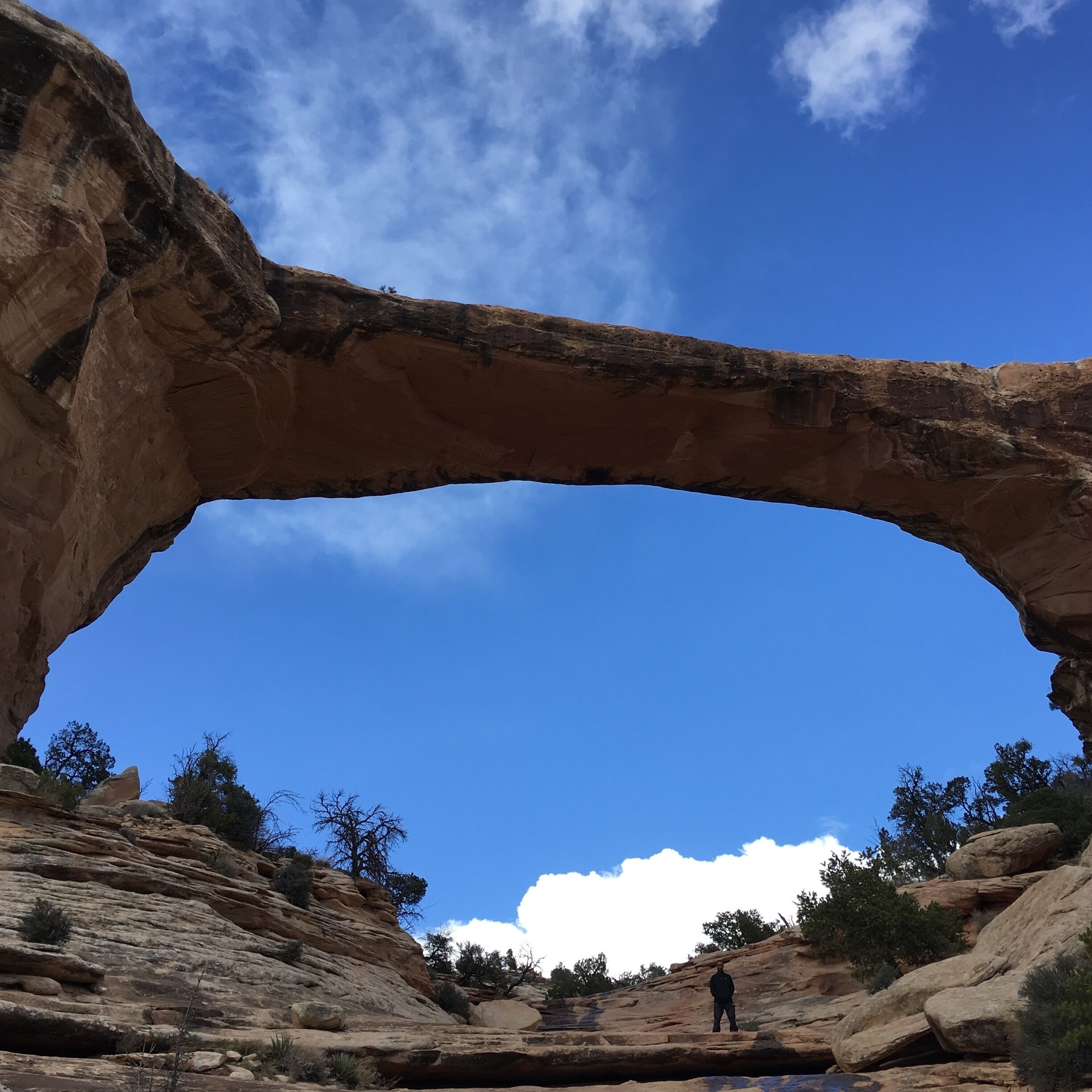 One of the most beautiful sights I have ever seen.  