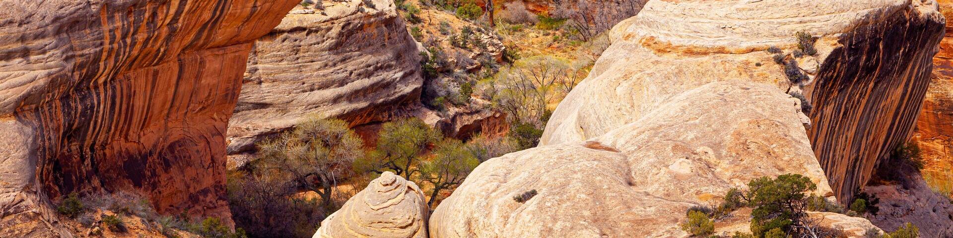 Natural Bridges National Monument featuring a gorge or canyon and desert views