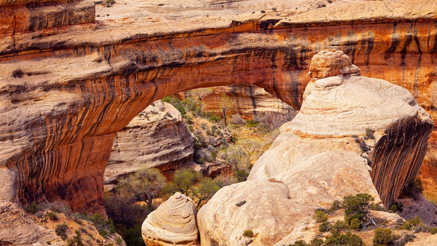 Natural Bridges National Monument featuring a gorge or canyon and desert views