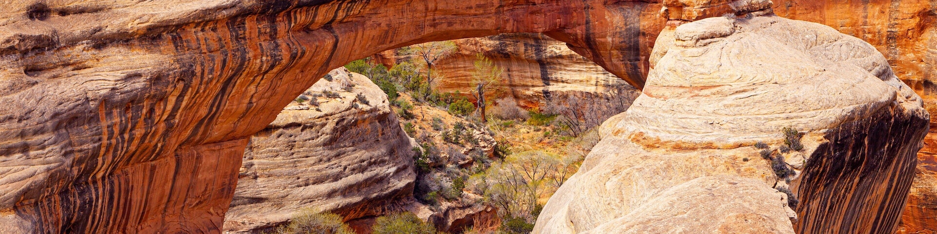 Natural Bridges National Monument featuring a gorge or canyon and desert views