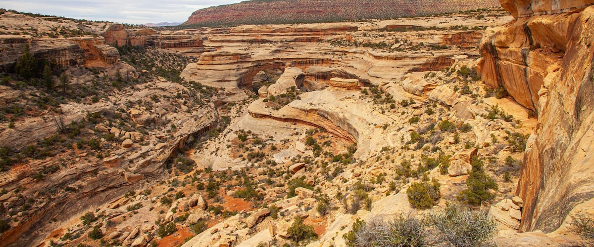 A rugged canyon landscape with layered rock formations and sparse vegetation.