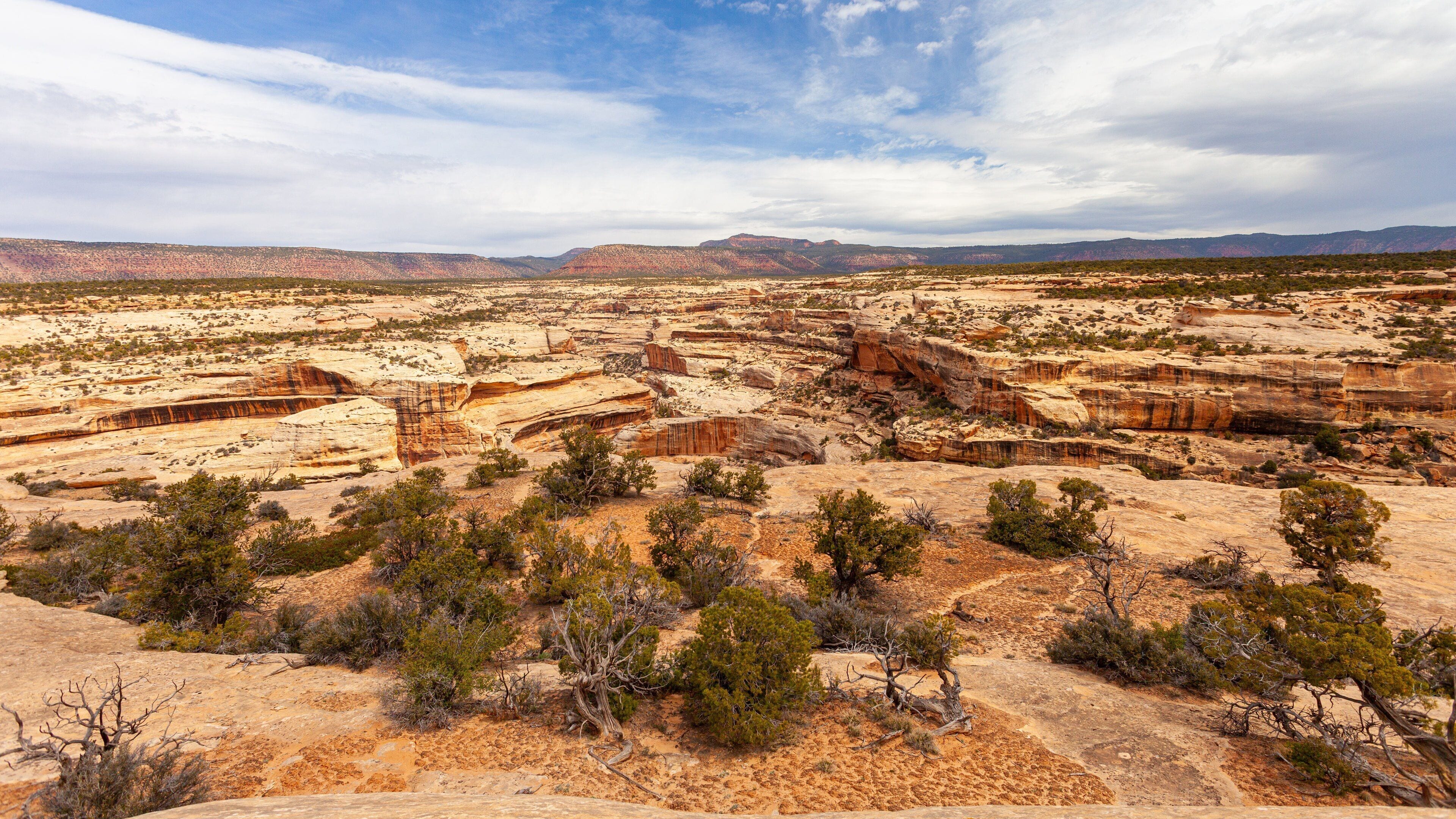Natural Bridges National Monument showing a gorge or canyon and desert views