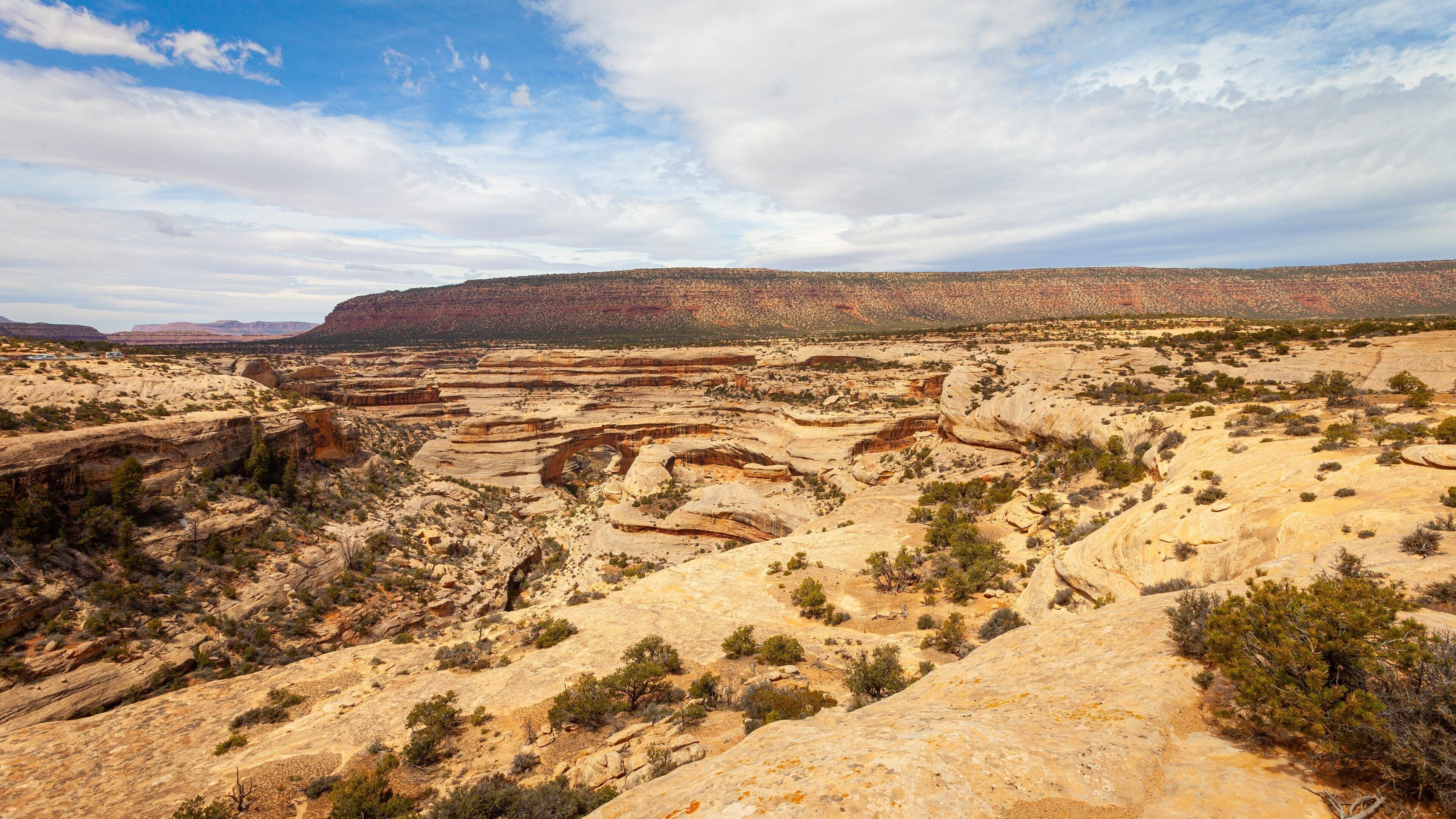 Natural Bridges National Monument featuring landscape views and desert views