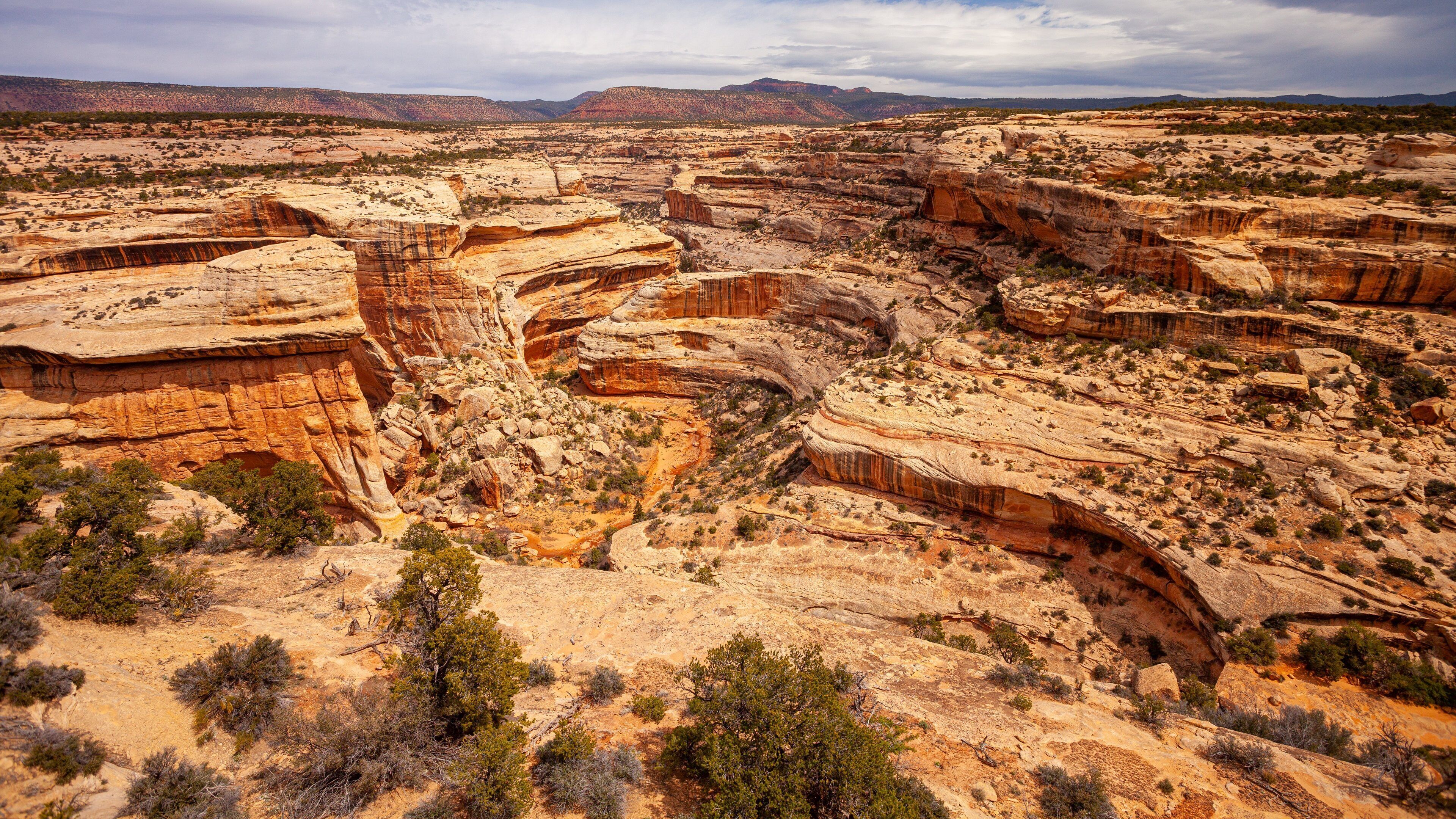 Natural Bridges National Monument which includes a gorge or canyon, desert views and landscape views