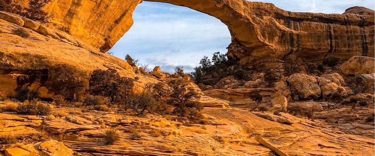 Came here on a Thursday and had the whole place to myself. Amazing place to wander around for hours.
#golden