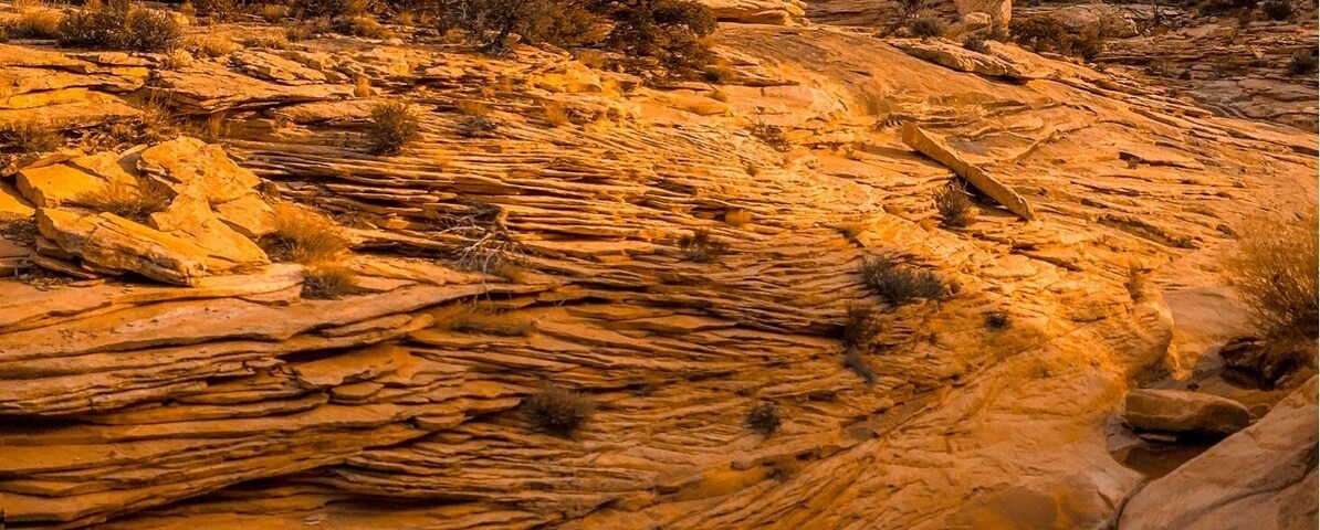 Came here on a Thursday and had the whole place to myself. Amazing place to wander around for hours.
#golden