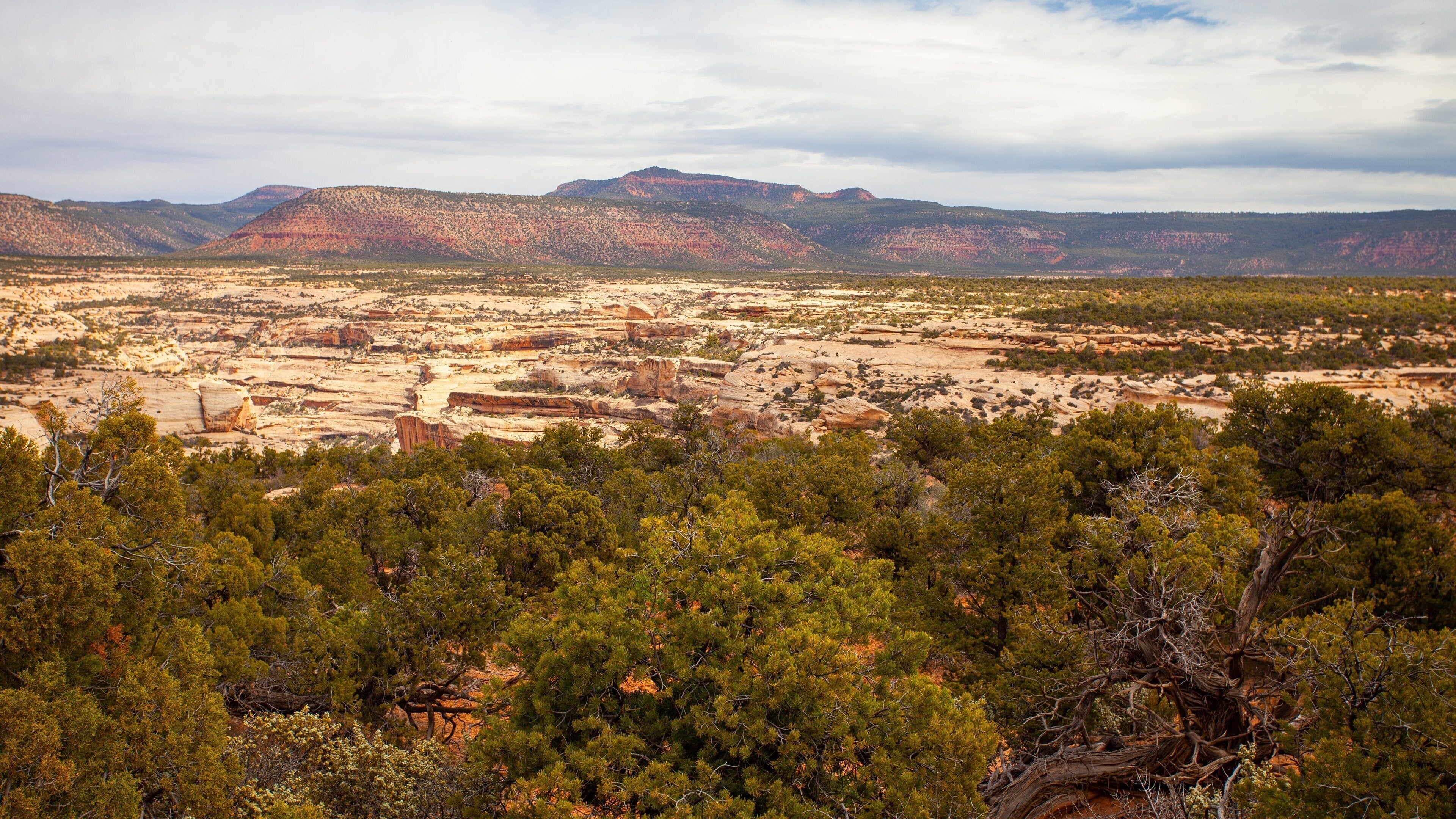 Natural Bridges National Monument featuring landscape views and tranquil scenes