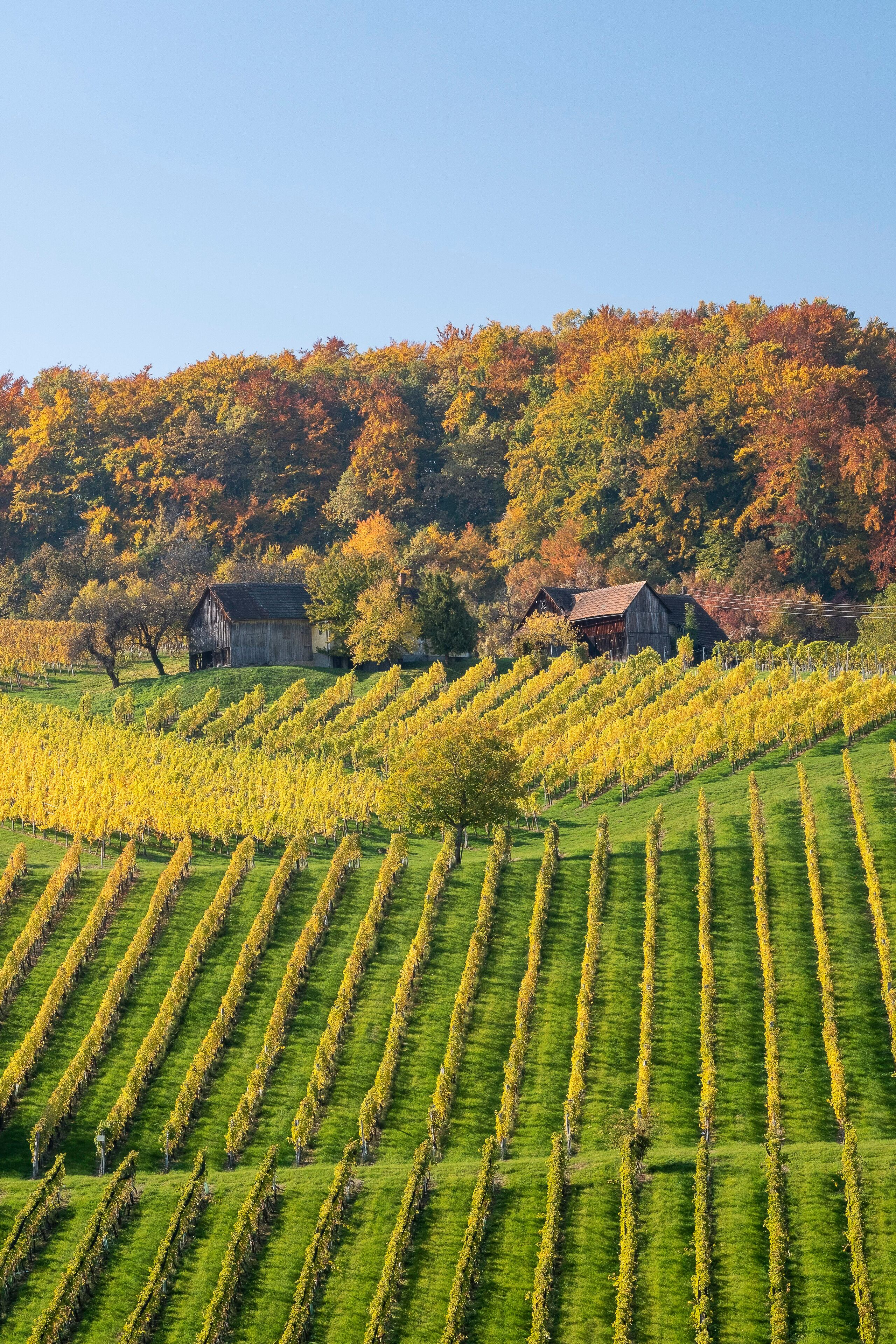 Weinstraße Suedsteiermark