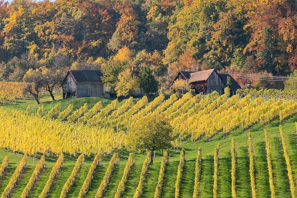 Weinstraße Suedsteiermark