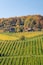 Veritas Vineyard and Winery