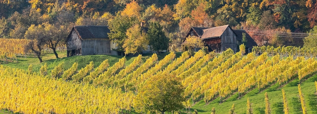 Weinstraße Suedsteiermark