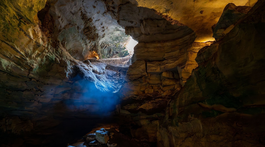 Image depicts a view of Carlsbad Caverns in New Mexico, shrouded in an ethereal mist