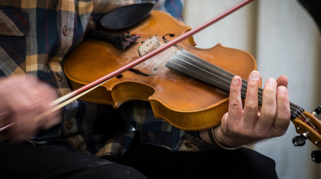 USA, Virginia, Blue Ridge Parkway. Man fiddling at the Blue Ridge Music Center.