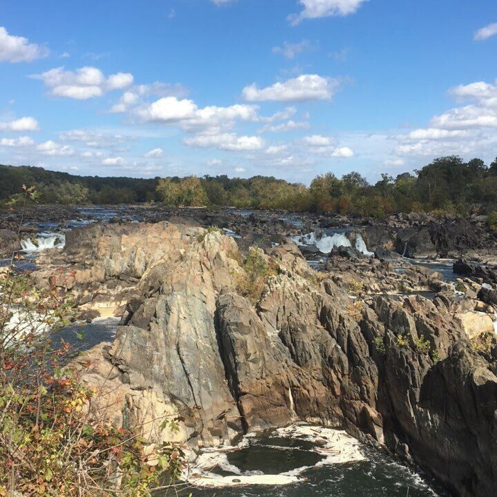 This place is special because it is only 15 miles from the center of Washington DC , and yet the Potomac river is as wild as if it were thousands  of miles into a forest. An urban oasis and reminder that what happens in DC is fleeting. 
#LikeALocal