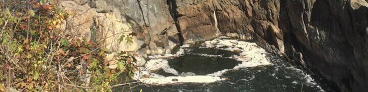 This place is special because it is only 15 miles from the center of Washington DC , and yet the Potomac river is as wild as if it were thousands of miles into a forest. An urban oasis and reminder that what happens in DC is fleeting.
#LikeALocal