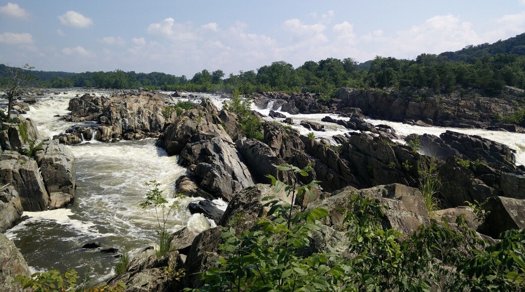 #TroveOn #hiking at the closest national park for an outdoor experience in DC.
Great Falls National Park is only about a half an hour away from the city so it's close enough for a good city escape. It has multiple trails from easy to difficult. It's a pretty established park with directional signs. Two trails for one way took about 1h30m and they are about 1.5 miles. There are three over lookouts for the falls. Every lookout gives a different vibe of the falls that starts of the Potomac River.
#NationalPark #LoveMyTown