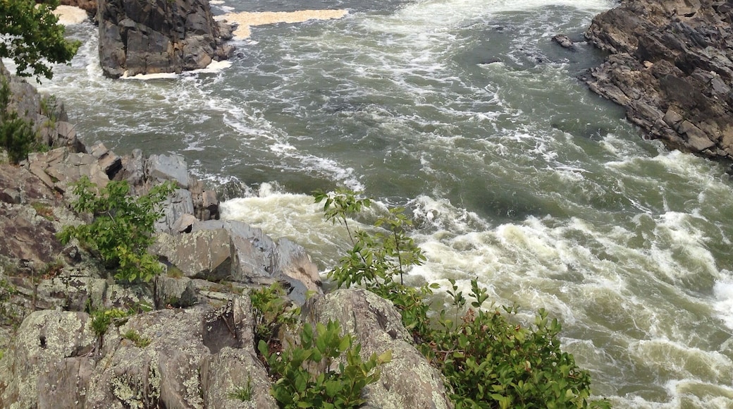 Just outside of downtown Washington D.C. you can see a different side of the placid Potomac that flows through the city. There are hiking trails on both sides of the falls with great lookout points, and lots of picnic areas. Whitewater kayak and rock climbing are both ok in the canyon. Amazing wild place so close to the US capital city!