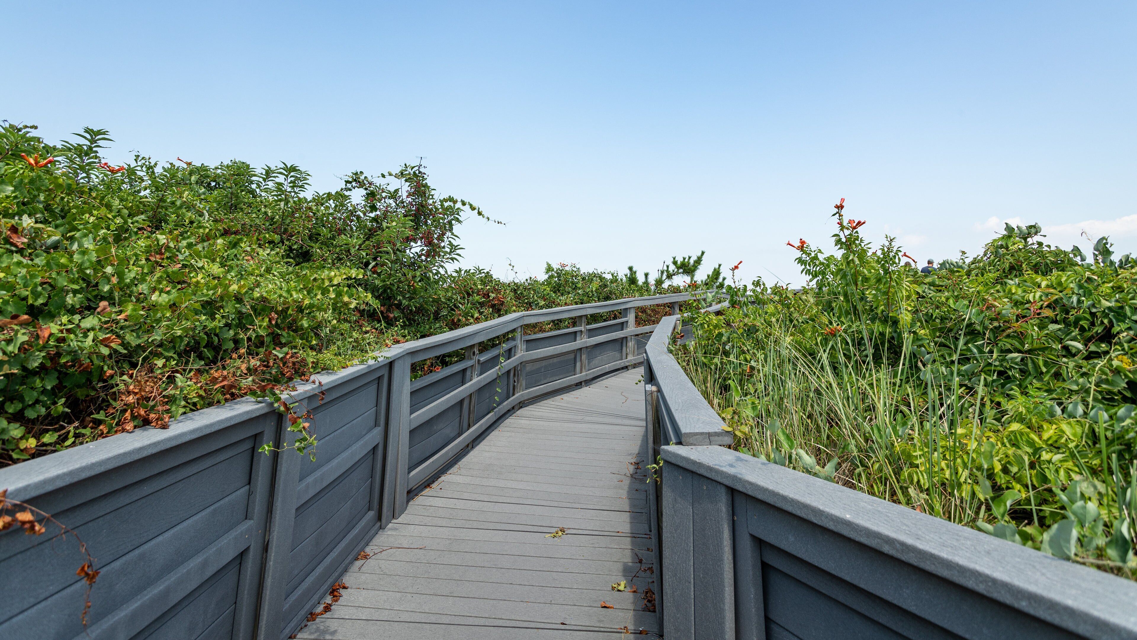 Cape Henry Memorial showing a bridge