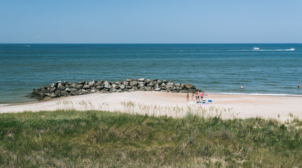 Cape Henry Memorial showing a sandy beach and general coastal views