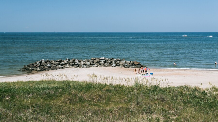 Cape Henry Memorial showing a sandy beach and general coastal views