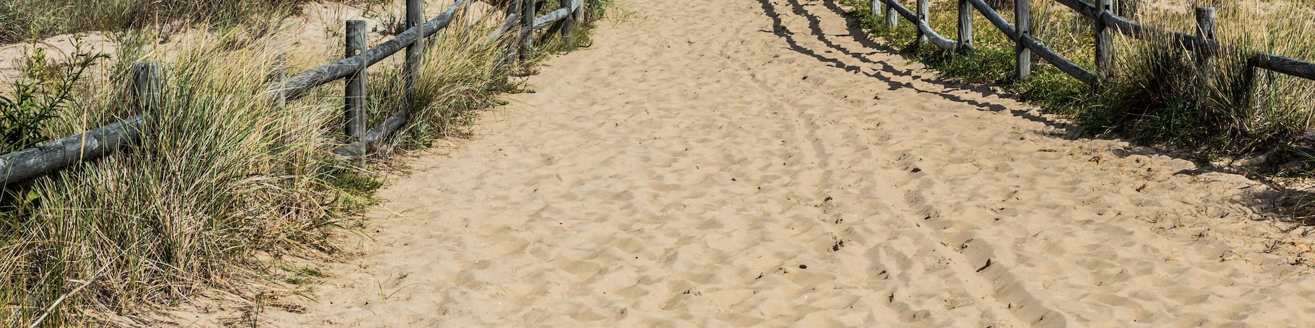 Pathway up a hill at Sandbridge beach in Virginia Beach, Virginia