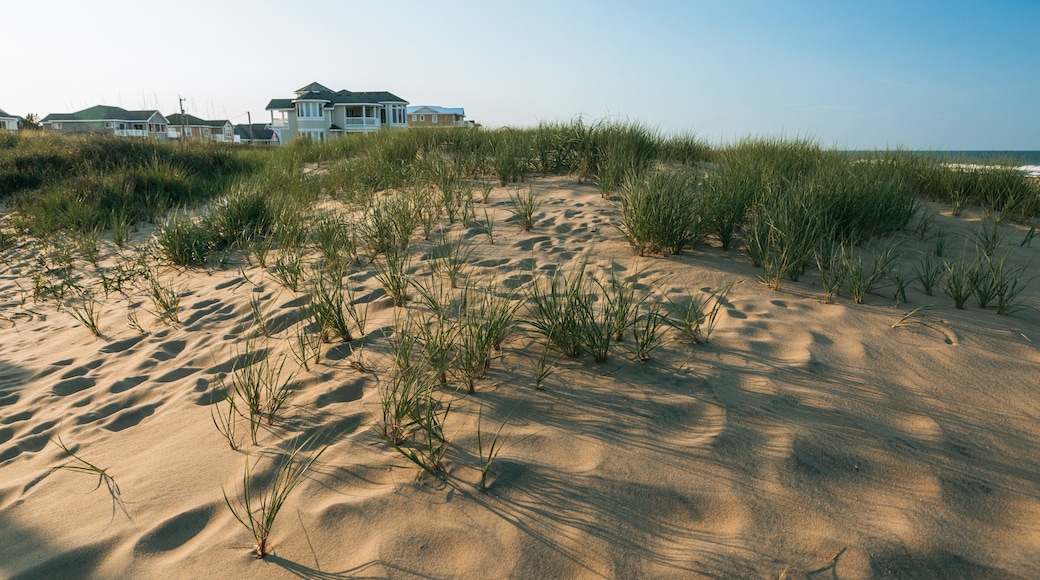 Sandbridge Beach which includes a sandy beach