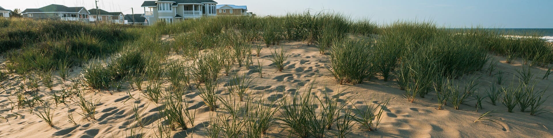 Sandbridge Beach which includes a sandy beach