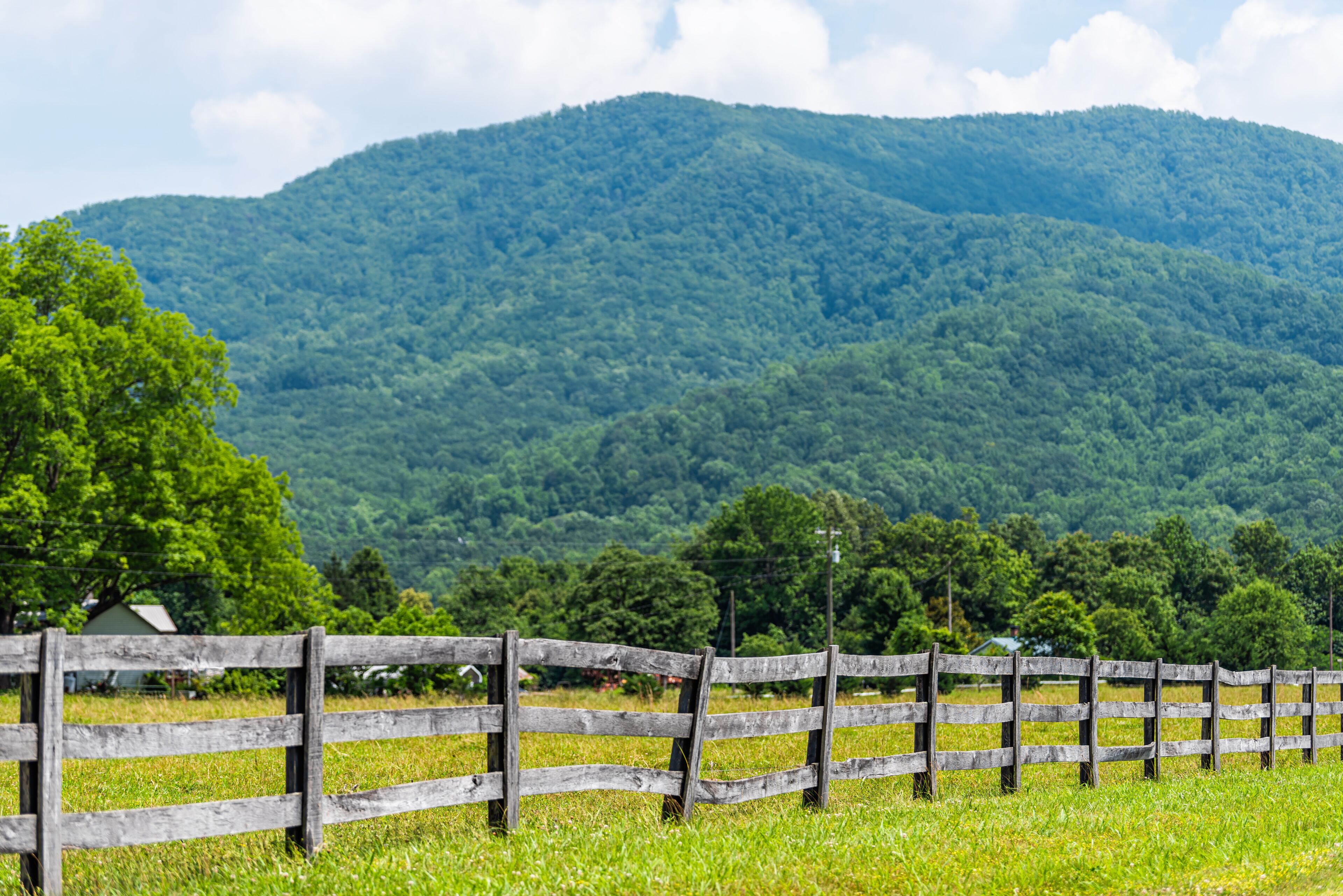 Farm road fence path in Roseland, Virginia near Blue Ridge parkway mountains in summer with idyllic rural landscape countryside in Nelson County