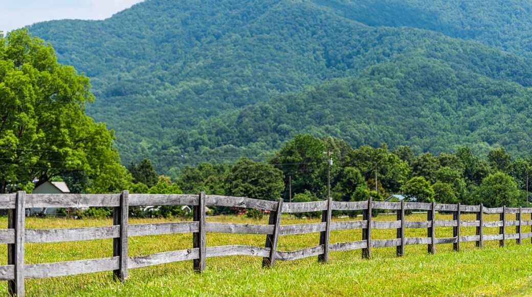 Farm road fence path in Roseland, Virginia near Blue Ridge parkway mountains in summer with idyllic rural landscape countryside in Nelson County