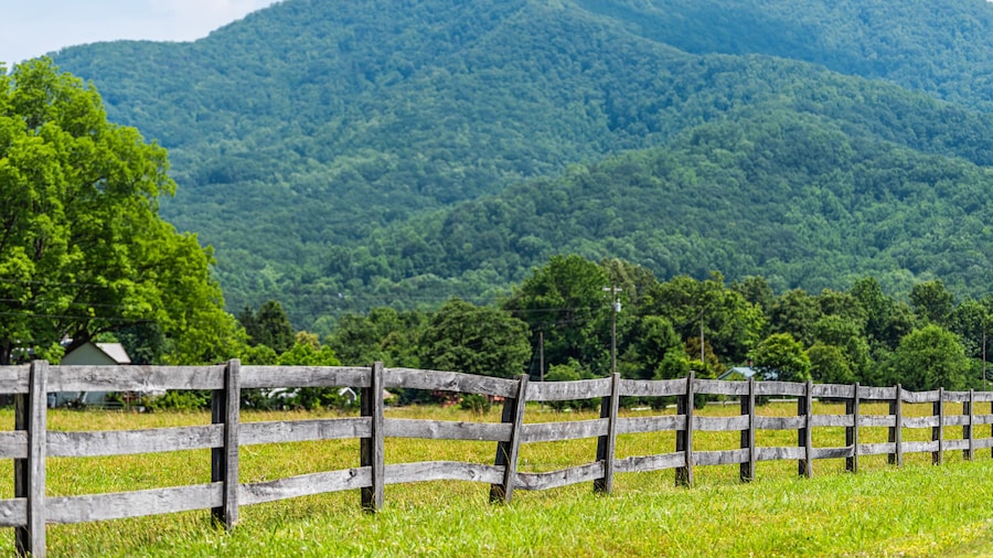 Farm road fence path in Roseland, Virginia near Blue Ridge parkway mountains in summer with idyllic rural landscape countryside in Nelson County