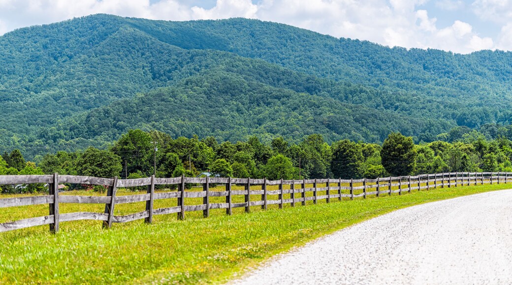 Pusat Peranginan Wintergreen