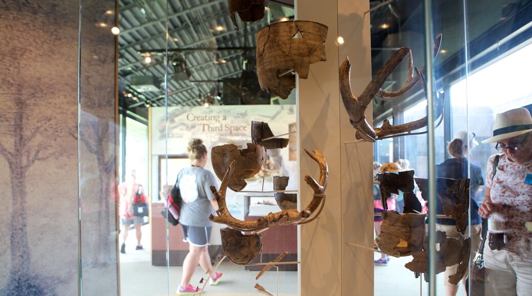 Historic Jamestowne which includes interior views and heritage elements