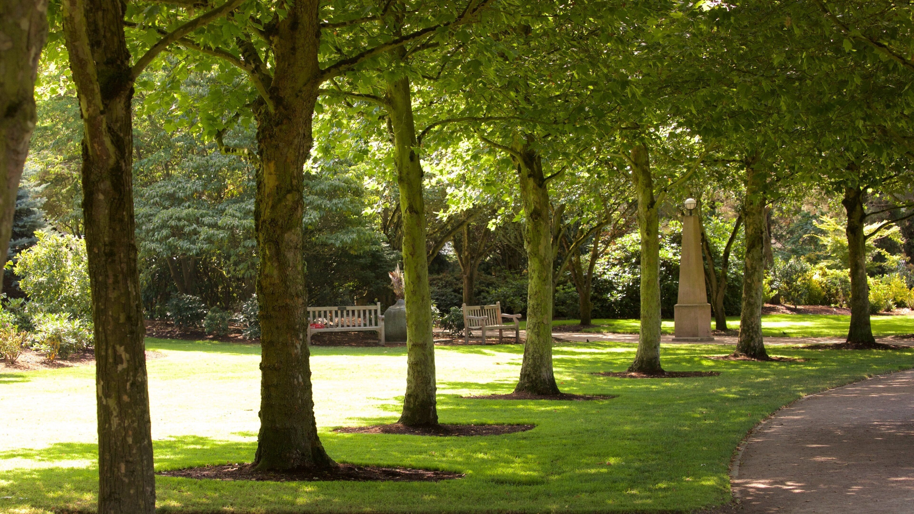 Downtown Park featuring a garden