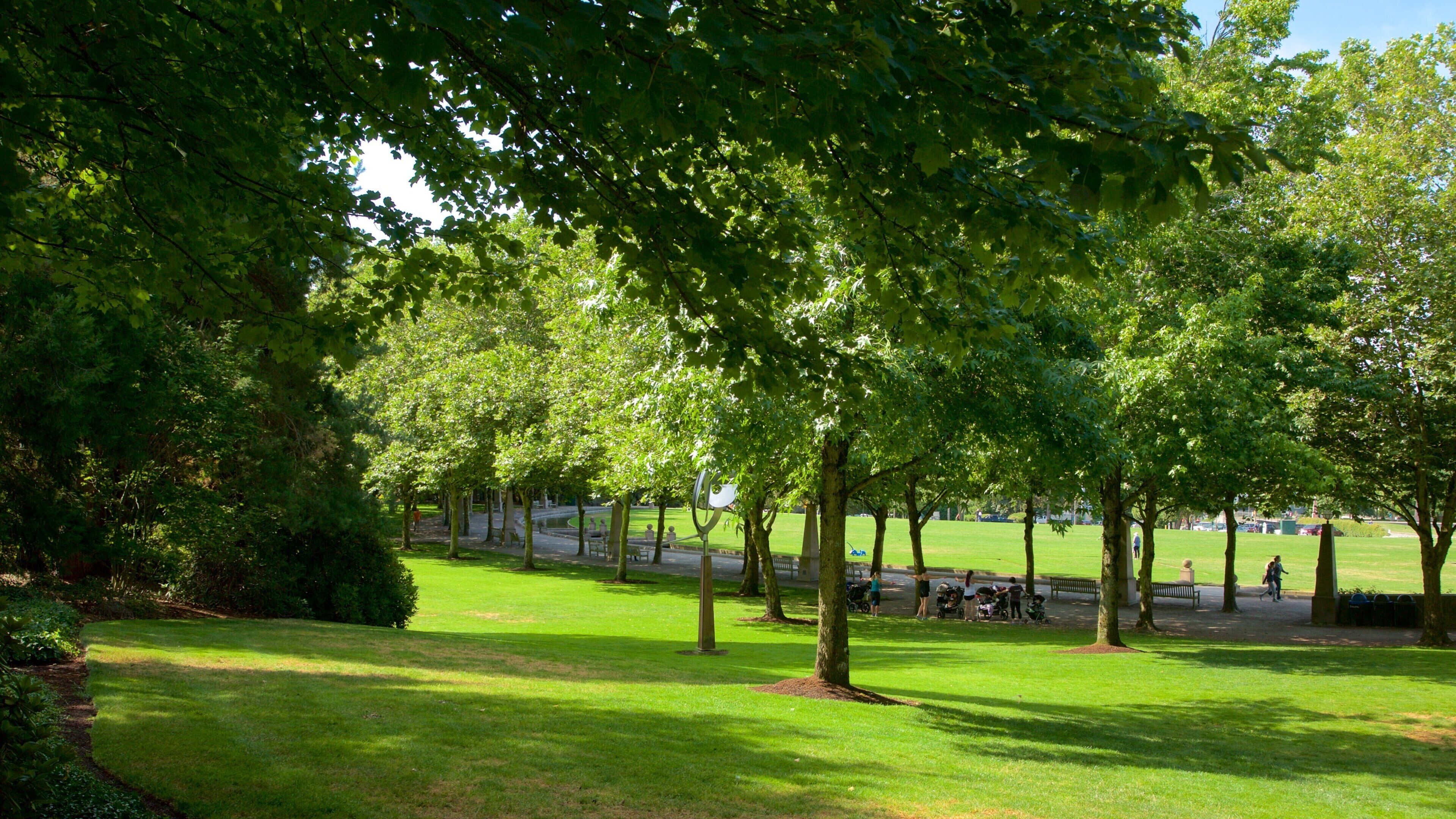 Downtown Park caratteristiche di giardino