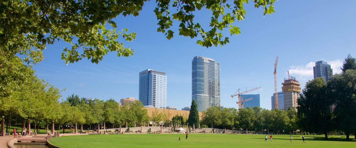 Downtown Park que incluye una ciudad y un parque