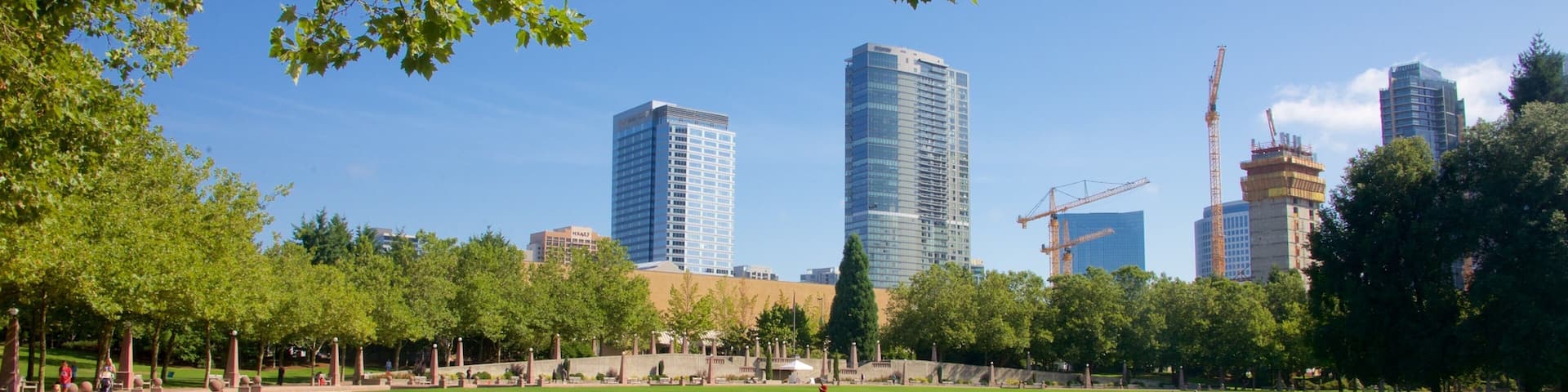 A park with a pond, green grass, trees, and modern buildings in the background.