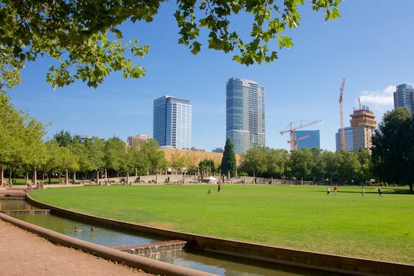 Un parc avec un étang, de l’herbe verte, des arbres et, au loin, des bâtiments modernes.