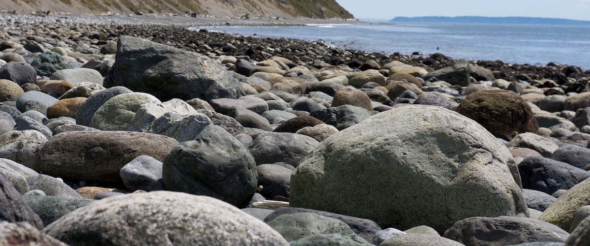 So much rock variety at the beach.