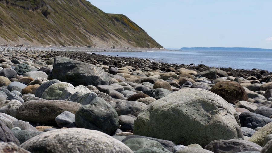 So much rock variety at the beach.