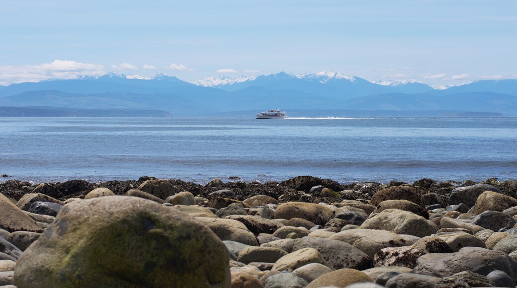 Whale watching boat off Fort Ebey State Park.
