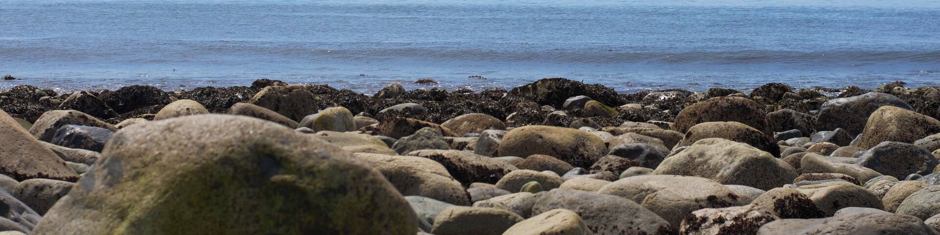 A rocky shoreline with a cruise ship in the distance and snow-capped mountains in the background.