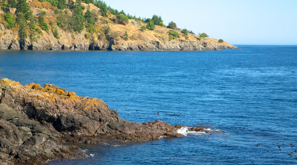 Lime Kiln Point State Park