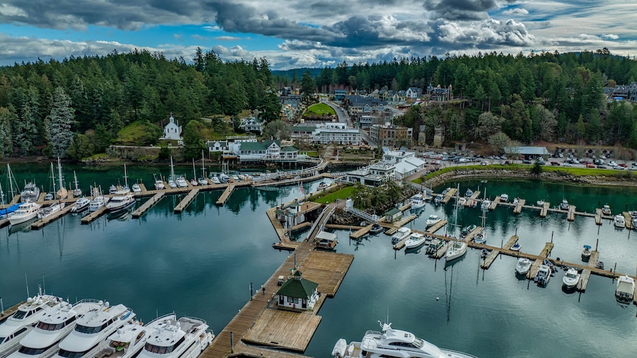 Roche Harbor Drone